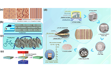 Improved polymer electrolyte interfacial contact via constructing vertically aligned fillers 2024.100406